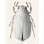 Poster - Beetles - LILJEBERGS