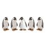 Homewear - Emperor Penguins – Medium - DCUK