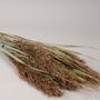 Floral decoration - Dried natural grass - LE COMPTOIR.COM