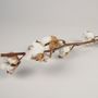 Floral decoration - Dried cotton flowers branch - LE COMPTOIR.COM
