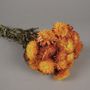Floral decoration - Natural dried immortelle orange - LE COMPTOIR.COM