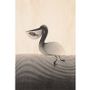 Card shop - Wood postcard "Pelican" - WOODHI