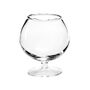 Crystal ware - Milva Foot Glass  - SEMPRE LIFE