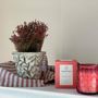 Decorative objects - Red Scented Candle - Organic Collection - VEREMUNDO HOME