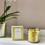 Decorative objects - Green Scented Candle - Organic Collection - VEREMUNDO HOME