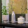 Vases - Capiz pulp vase and flower pots - KINTA