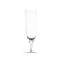 Glass - Amwell Champagne Glass  - CANVAS HOME