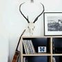 Decorative objects - Decorative items: horns, antlers skulls, taxidermy - DMW.NU: TAXIDERMY & INTERIOR