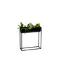 Floral decoration - Black Metal and ABS Pot AX70033 - ANDREA HOUSE