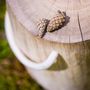 Objets de décoration - Tabouret en bois Tree4Tail - RIO LINDO - THINGS THAT INSPIRE