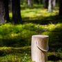 Decorative objects - Tree4Tail wooden stool - RIO LINDO - THINGS THAT INSPIRE