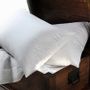 Comforters and pillows - Pillows Collection Cinelli - CINELLI PIUME E PIUMINI SRL