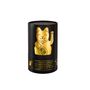 Decorative objects - Maneki Neko / Lucky Cat / Glossy Gold  - DONKEY PRODUCTS
