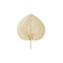 Decorative objects - AX70228 River Leaf Fan Wall Decor - ANDREA HOUSE