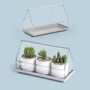 Floral decoration - Micro Greenhouse Tray : Recycled Plastic Self Watering Plant Pot for indoor and outdoor garden - QUALY DESIGN OFFICIAL
