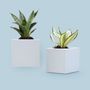 Décorations florales - Micro serre : pot de plantes auto-arrosage pour jardin intérieur et extérieur - QUALY DESIGN OFFICIAL