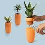 Floral decoration - Carepot : Carrot Recycled Plastic Self-Watering Plant Pot for Indoor and Outdoor Garden Decorate Home - QUALY DESIGN OFFICIAL