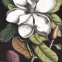 Affiches - Affiche Wonderland, Magnolia blanc en fleurs. - THE DYBDAHL CO.
