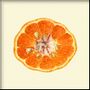 Poster - Poster Fruits, Mandarine Open. - THE DYBDAHL CO.