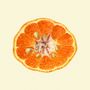 Affiches - Affiche Fruits, Mandarine Open. - THE DYBDAHL CO.