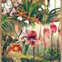 Poster - Poster Flowers, Orchids. - THE DYBDAHL CO.