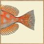 Affiches - Affiche Half Fish, Spotted Orange Right. - THE DYBDAHL CO.