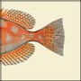 Poster - Poster Half Fish, Spotted Orange Right. - THE DYBDAHL CO.