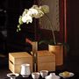 Tea and coffee accessories - Rice Tea Set - JIA