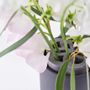 Floral decoration - Cement Vase - TZULAÏ