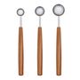Kitchen utensils - SOUL Spice Spoon Set  - TRIANGLE