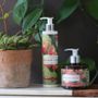 Beauty products - Fig Tree of Carthage - TADÉ PAYS DU LEVANT