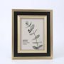 Art photos - Dara Picture Frame  - MINDY BROWNES INTERIORS