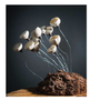 Céramique - Fleur de soie, photophores & photoFlora - ATELIER SUR LA RIVIERE - SYLVAIN FEZZOLI