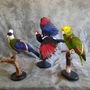 Unique pieces - Parrot taxidermy - Colourful decorative object  - DMW.NU: TAXIDERMY & INTERIOR