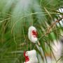 Christmas garlands and baubles - Handmade Felt Toys and Christmas Ornaments - DE KULTURE WORKS