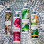 Beauty products - Body milks  - TADÉ PAYS DU LEVANT