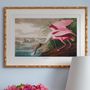 Decorative objects - Framed art: Roseate Spoonbill - G & C INTERIORS A/S