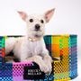 Design objects - Mexican Folklore PET Bed - WOLOCH COMPANY