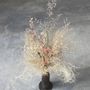 Homewear - Bouquets composed of dried flowers - NAMAN-PROJECT