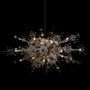 Hanging lights - Metropolitan Opera chandelier - LOBMEYR