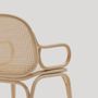Armchairs - Frames dining armchair - EXPORMIM