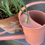 Pergolas - PLINT watering can - PLINT