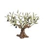 Unique pieces - Olive tree 11 twigs - L'OLIVIER FORGÉ