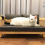 Sofas - Mini pet sofa - BARKETEK