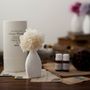 Gifts - Aroma diffuser in bloom - BALLON