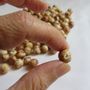 Artistic hardware - Natural seeds (beads) - TIERRATAGUA & CREATIERRA