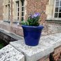 Flower pots - Sèvres Blue Florentine Pot - MANUFACTURE NORMAND