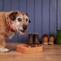 Kitchen utensils - The Dog Food Bowl - THE WOOD LIFE PROJECT