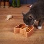 Ustensiles de cuisine - Le bol de nourriture pour chat - THE WOOD LIFE PROJECT