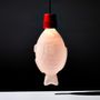 Suspensions - Light Soy Suspension - HELIOGRAF